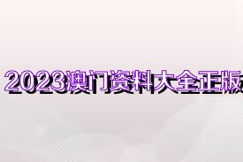 2025澳门资料大全正版资料免费,澳门资料大全，探索2025正版资料的免费之旅