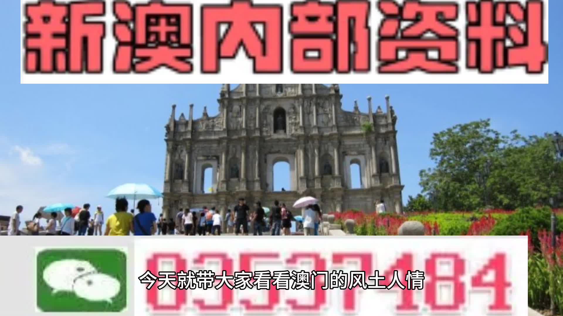 新澳2025今晚王中王免费资料,新澳2025今晚王中王免费资料解析与探讨