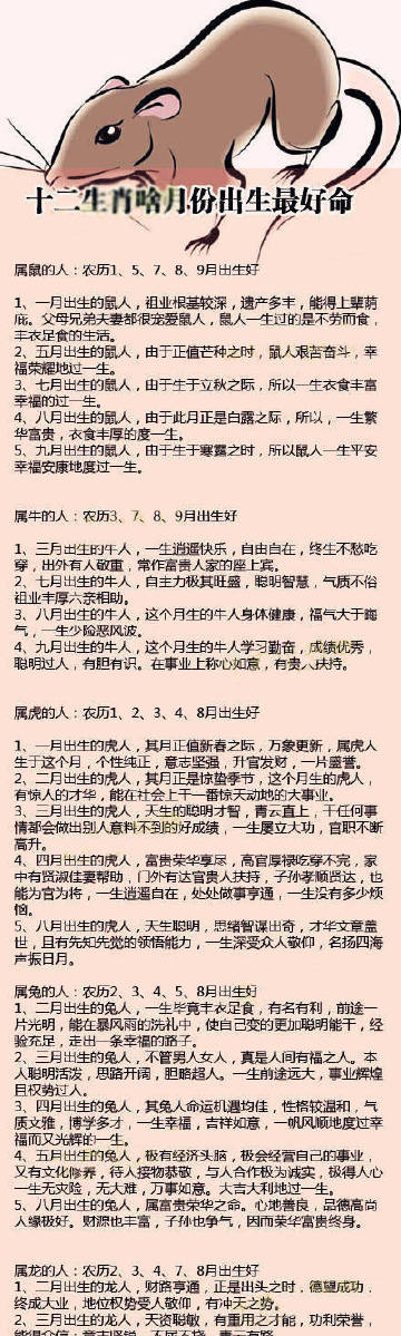 白小姐一肖一码准确一肖,白小姐一肖一码准确预测——揭秘生肖运势的神秘面纱