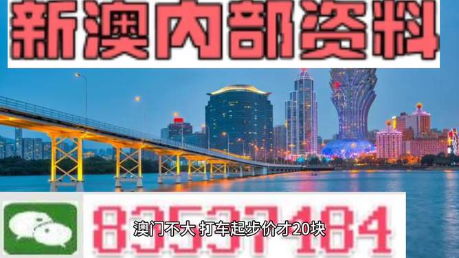 新澳门资料大全正版资料2025年,新澳门资料大全正版资料2025年，深度解析与预测