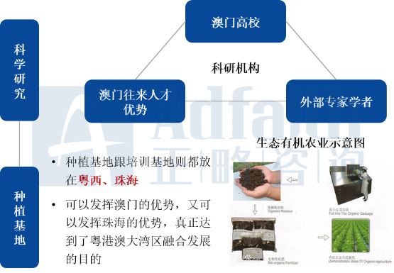 2025澳门新奥走势图,澳门新奥走势图，探索未来的趋势与机遇（至2025年）